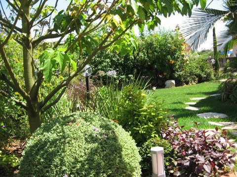 ����� ���� �� ������ ������ ��������